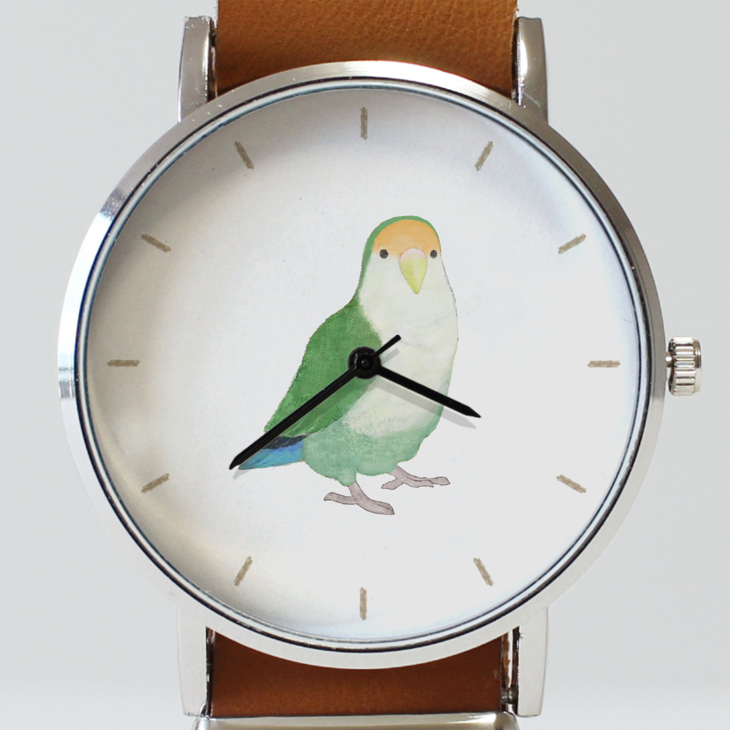 コザクラインコ(シーグリーン)
