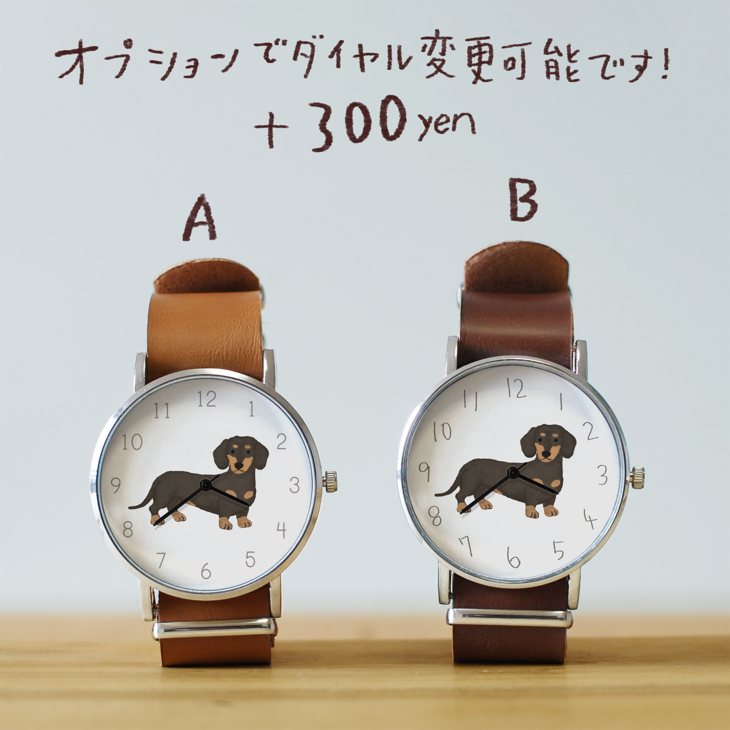 ダックスフンド(ブラックタン)➁