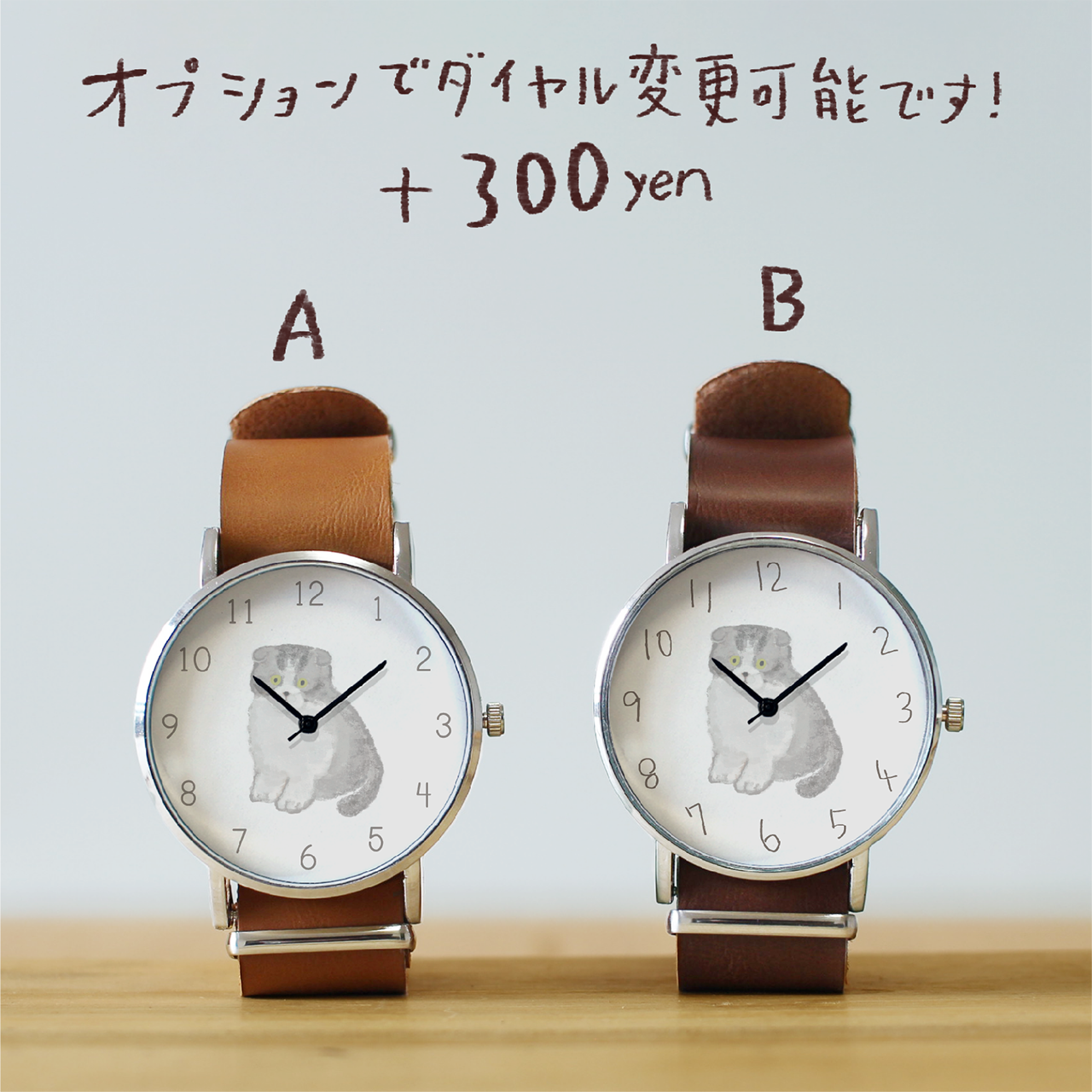 スコティッシュフォールド(グレー)