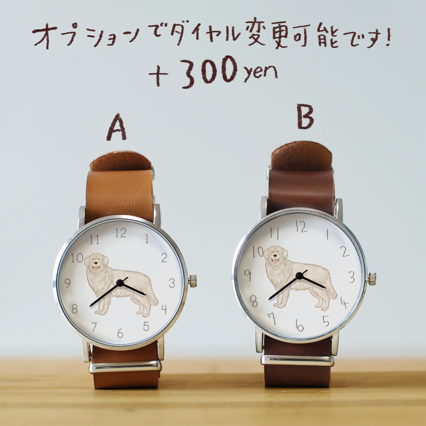 ゴールデンレトリバー(白)