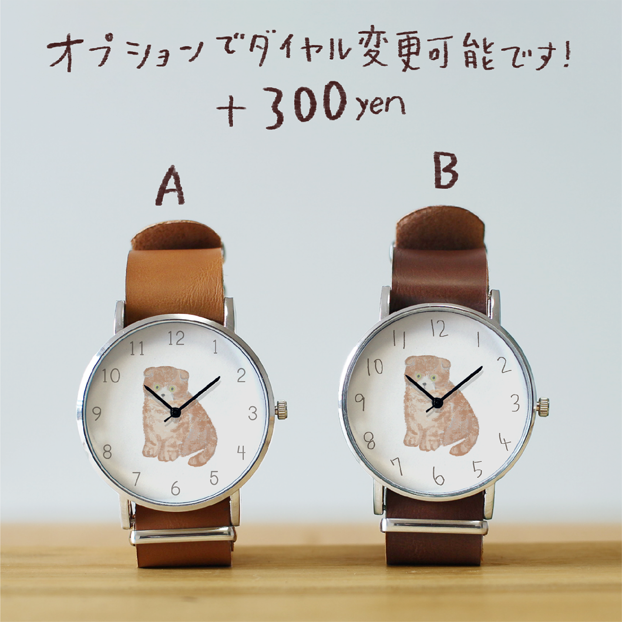 スコティッシュフォールド(レッド)