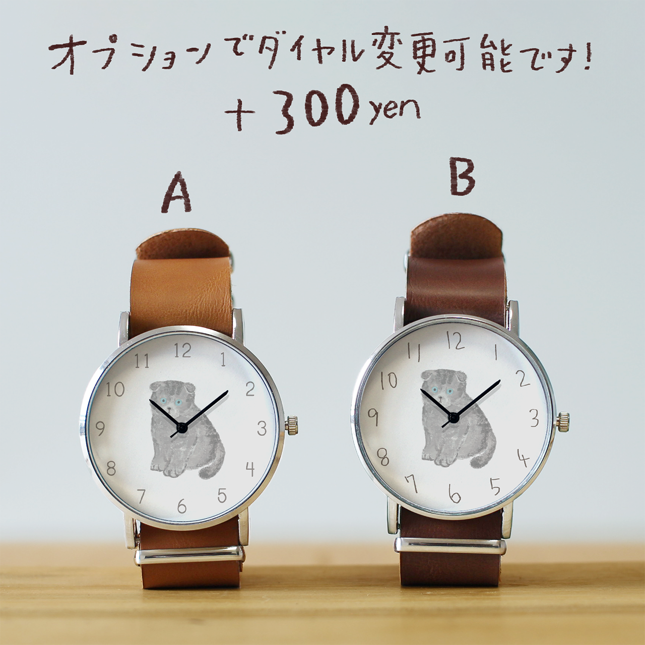 スコティッシュフォールド(ブルー)