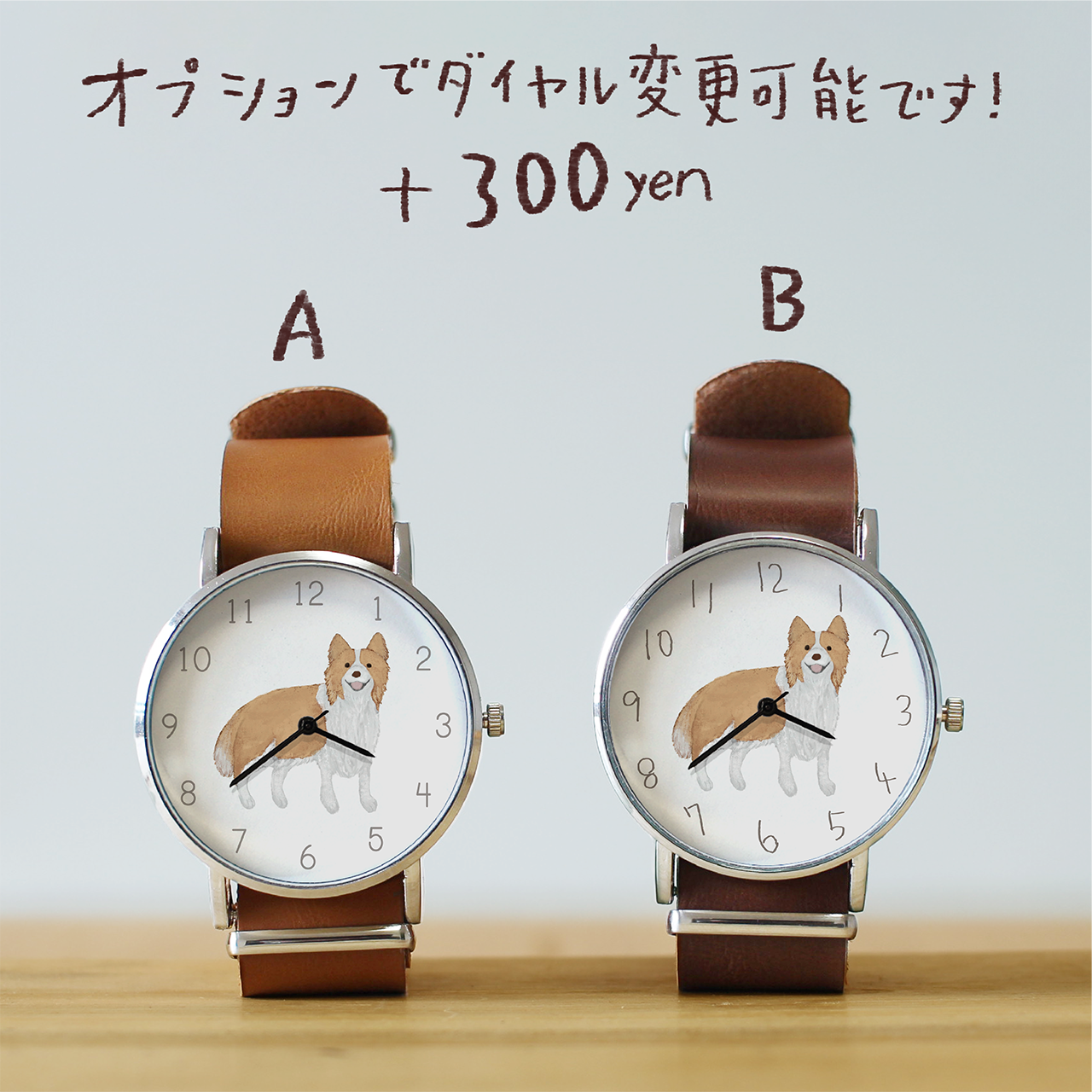 ボーダーコリー(レッドホワイト)立ち耳