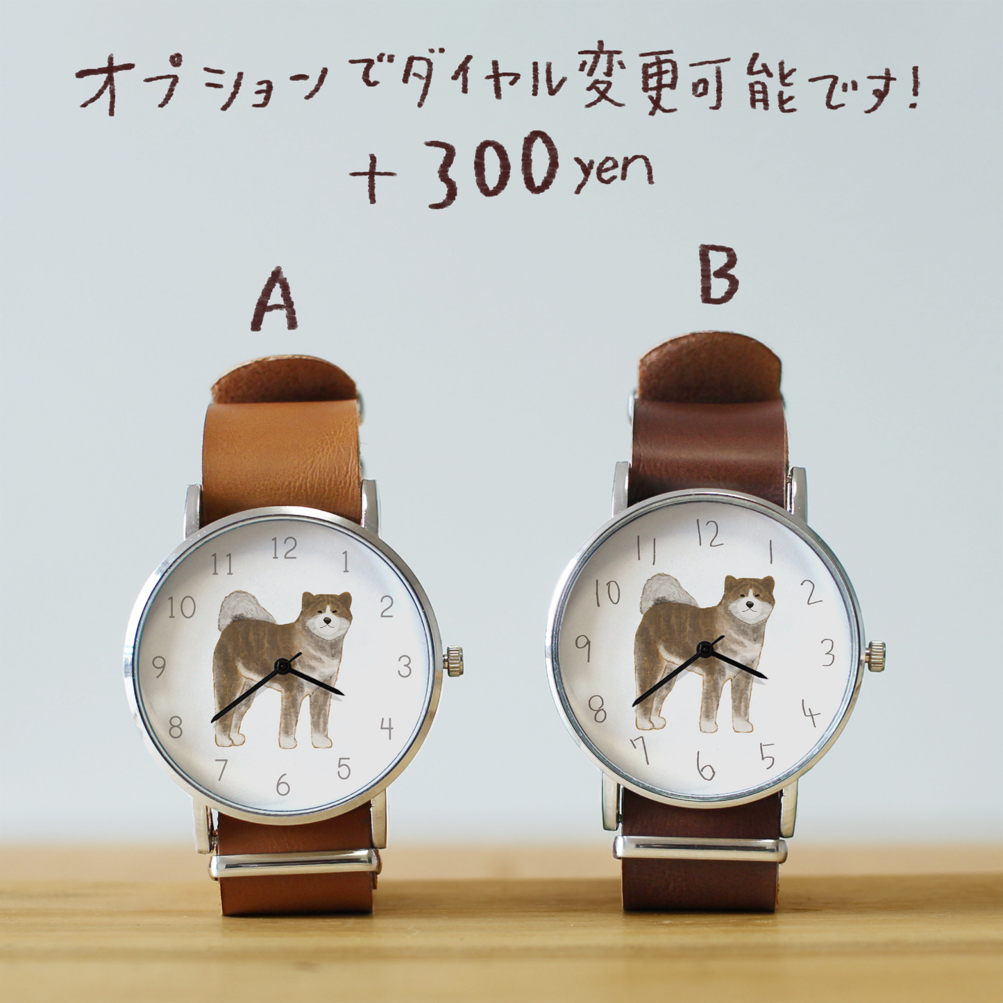 秋田犬(赤虎)