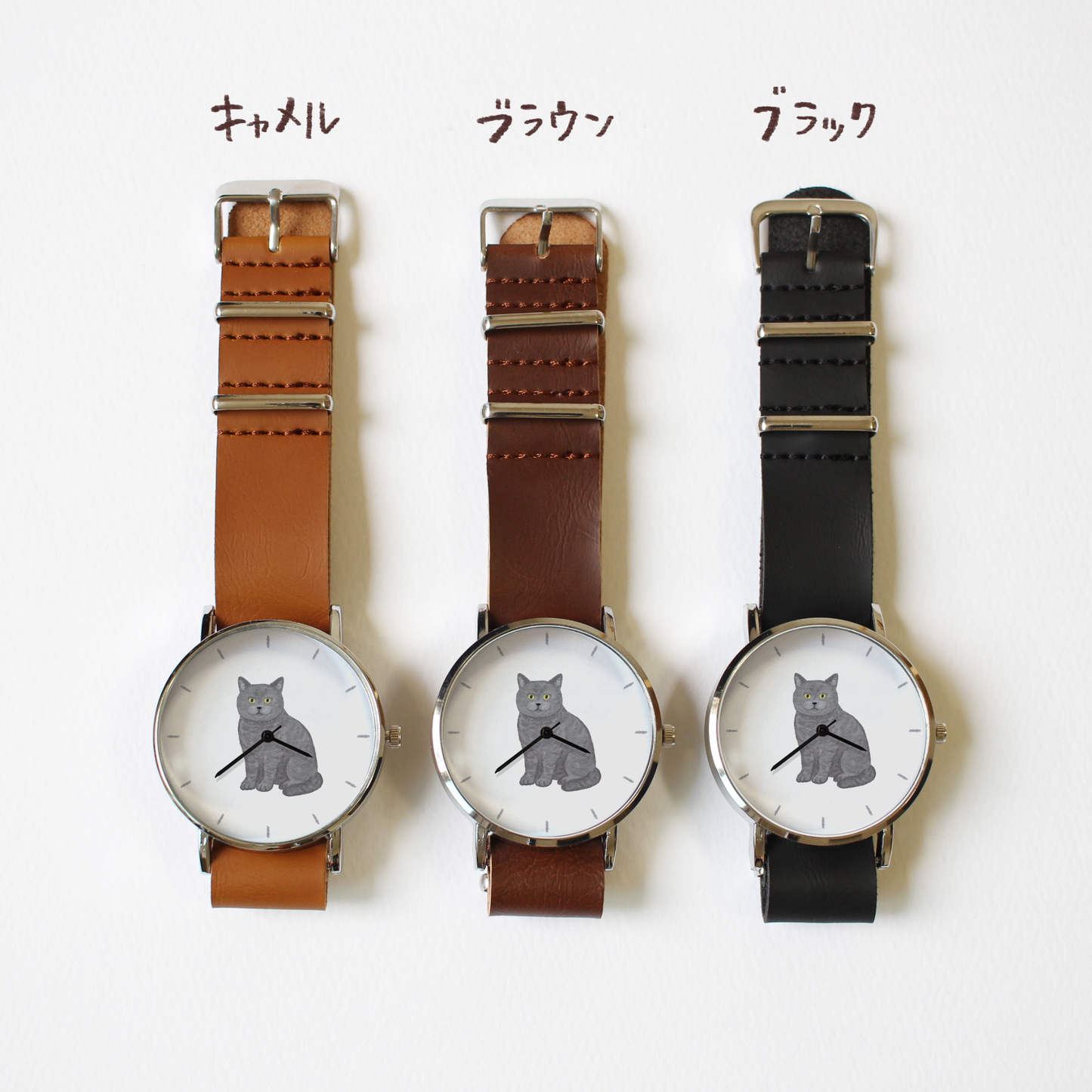 ブリティッシュショートヘア