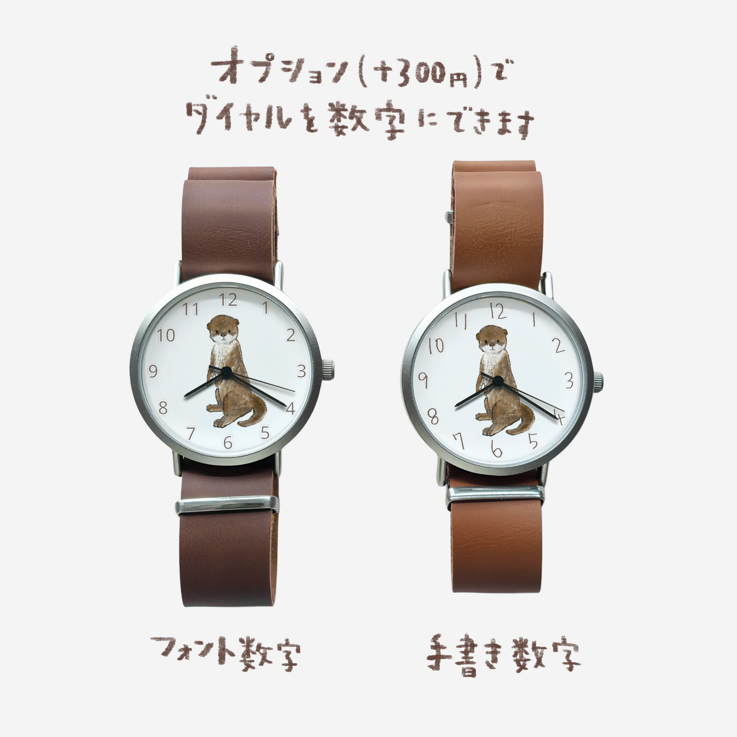 カワウソ①