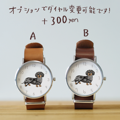 ダックスフンド（シルバーダップル）
