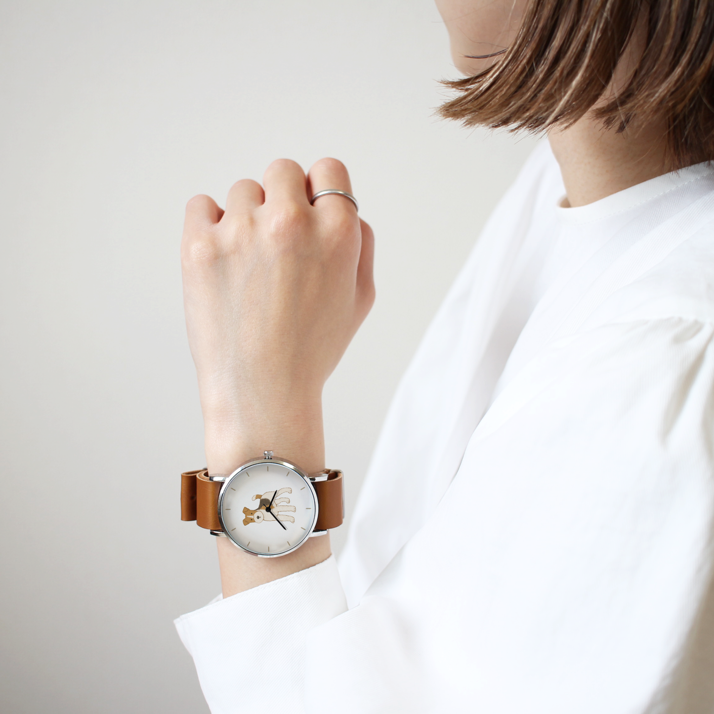 ワイヤーフォックステリア