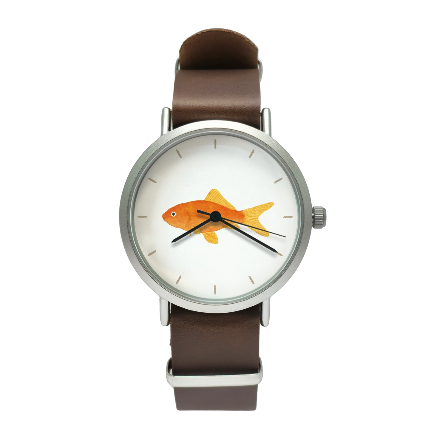 金魚①