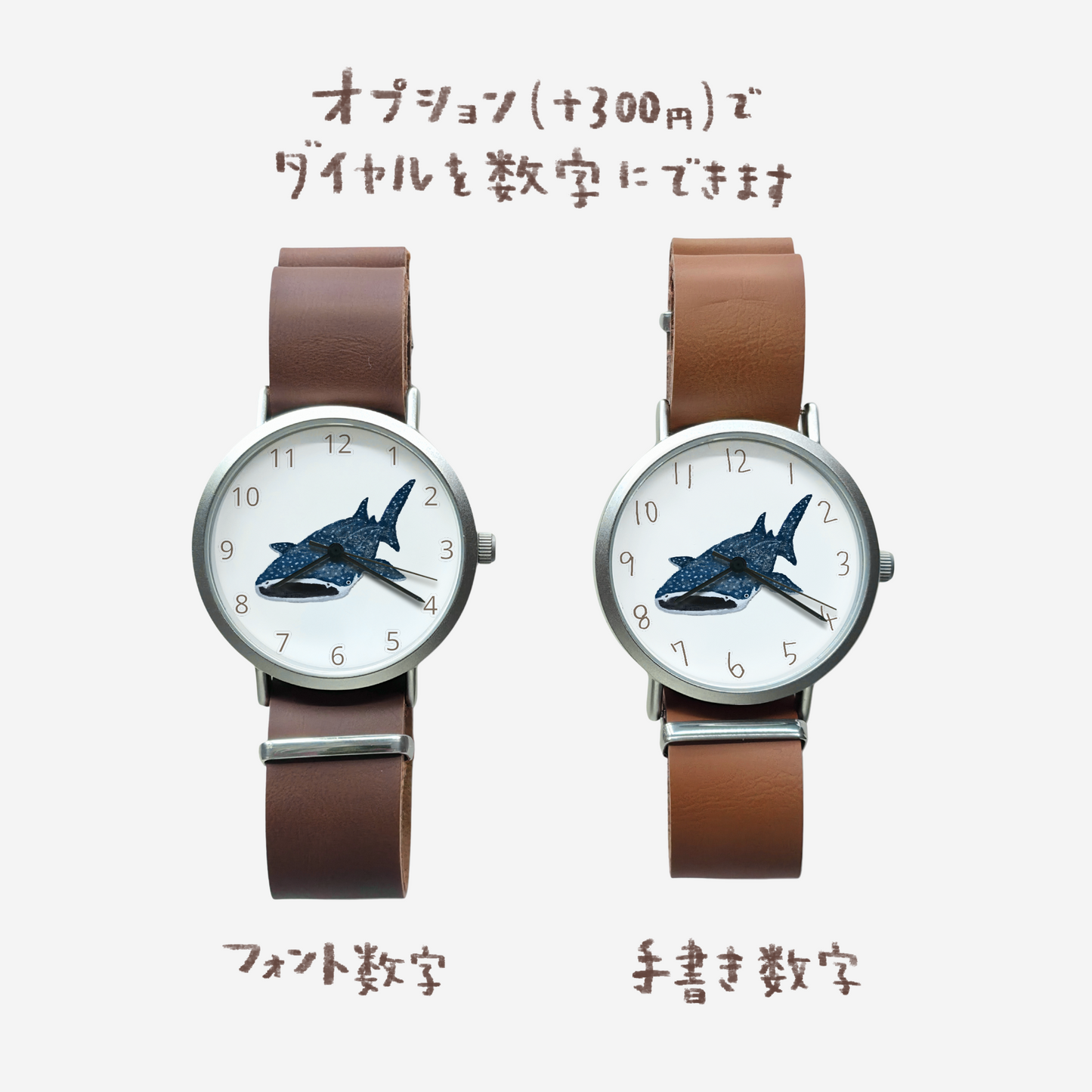 ジンベイザメ