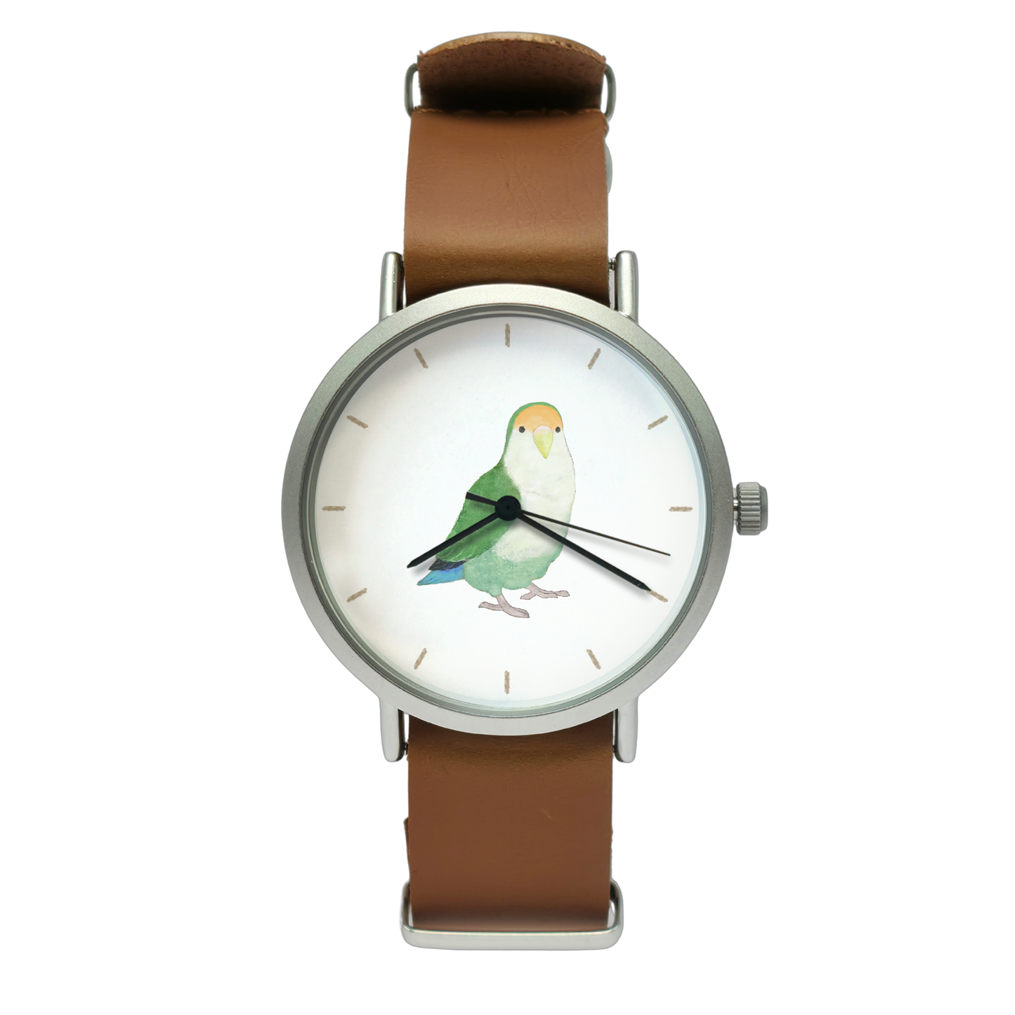 コザクラインコ（シーグリーン）