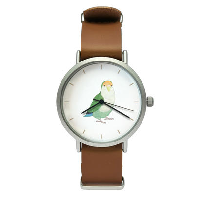 コザクラインコ（シーグリーン）