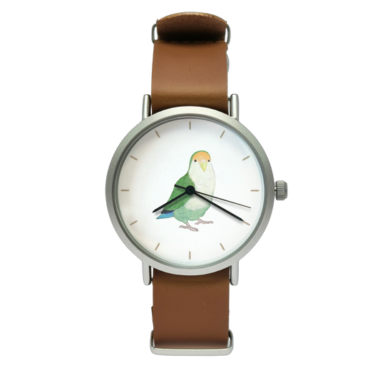 コザクラインコ（シーグリーン）