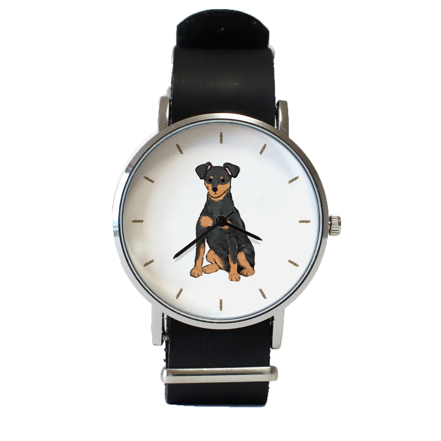 ミニチュアピンシャー（ブラックタン）垂れ耳