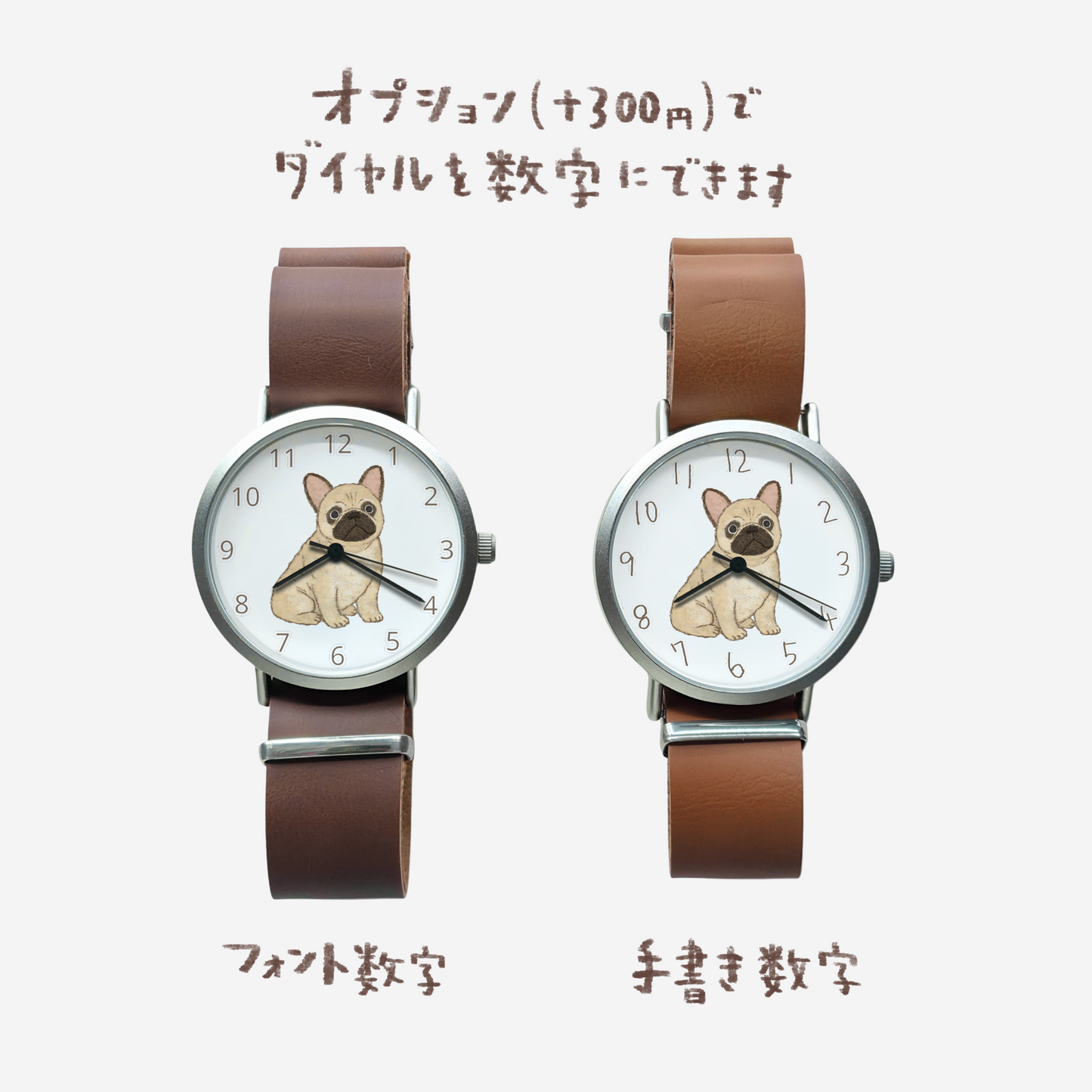 フレンチブルドッグ（フォーン）①