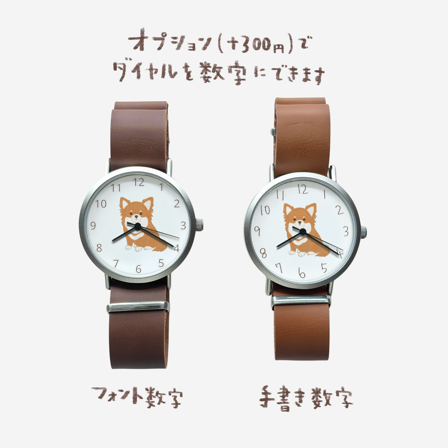 チワワ（レッド）①