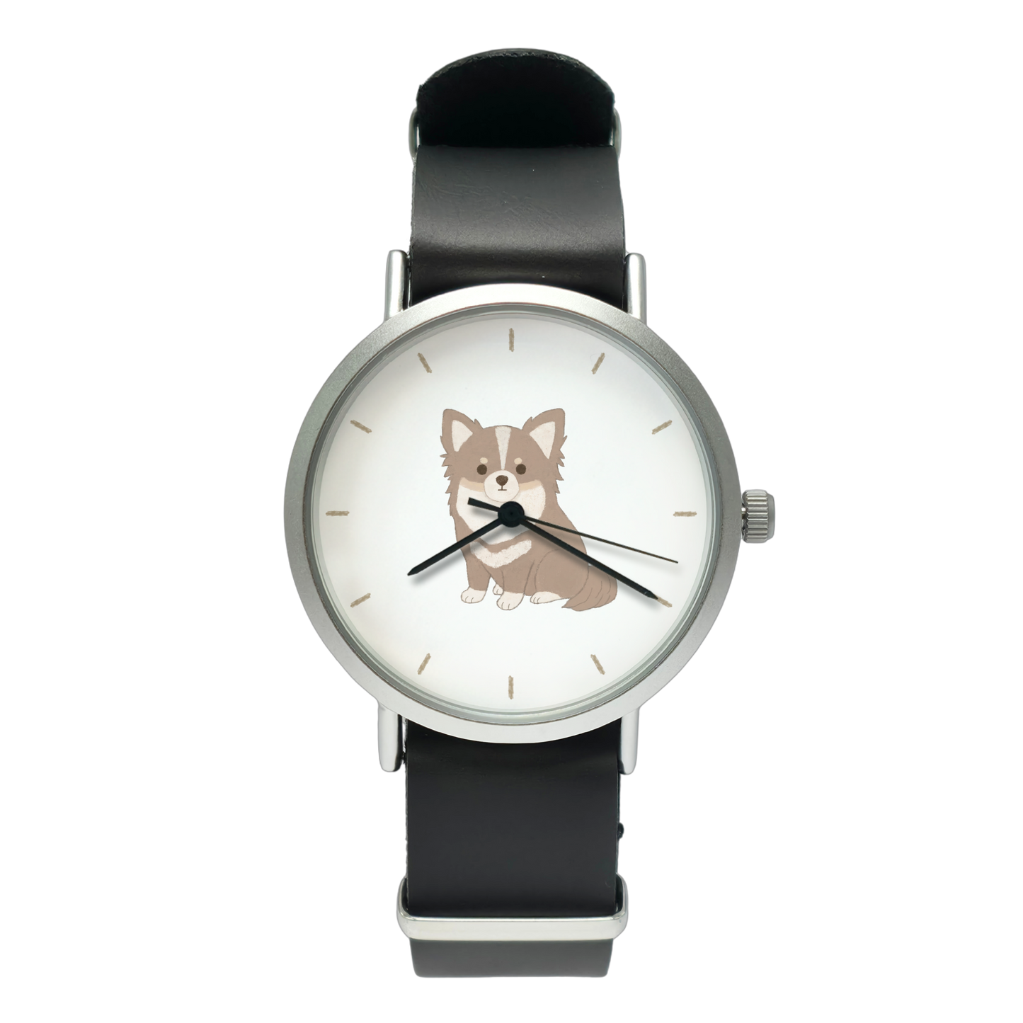 チワワ（イザベラ）➁