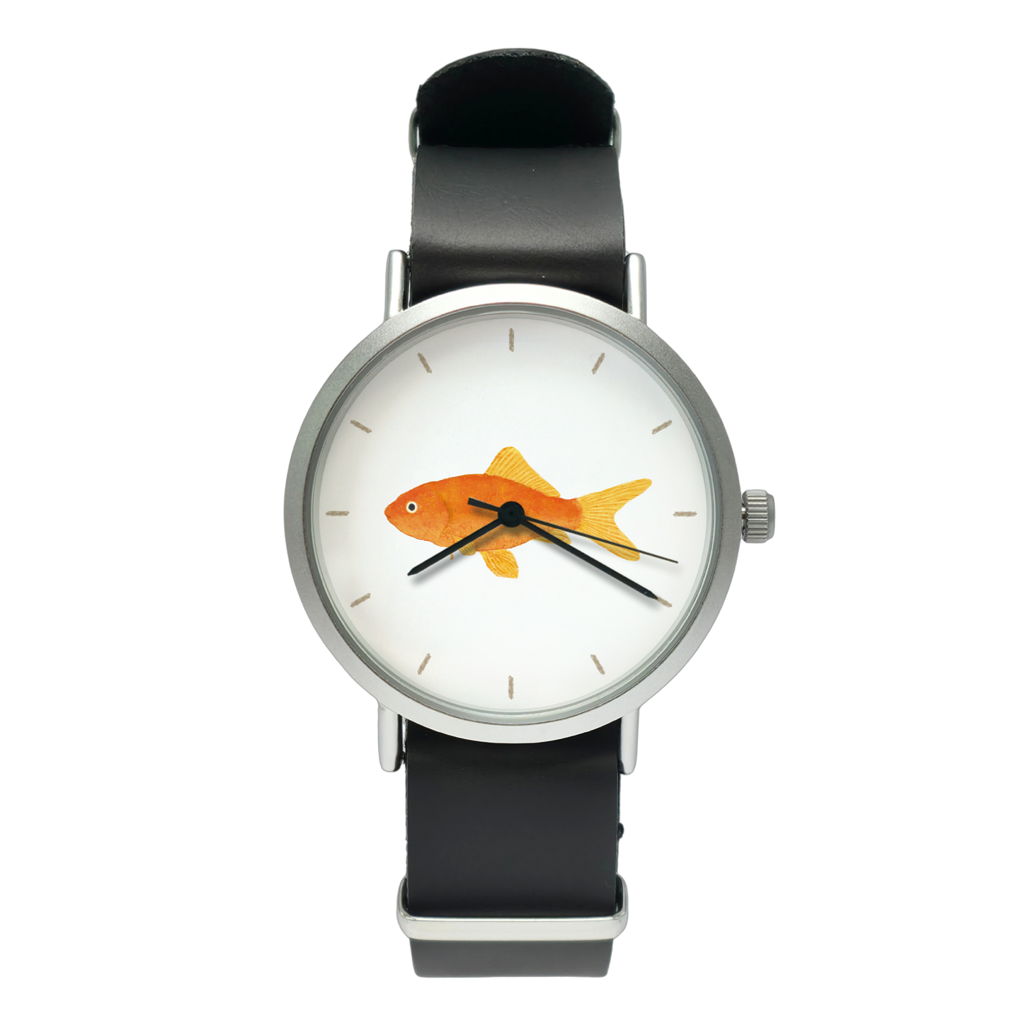 金魚①