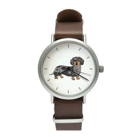 ダックスフンド（シルバーダップル）