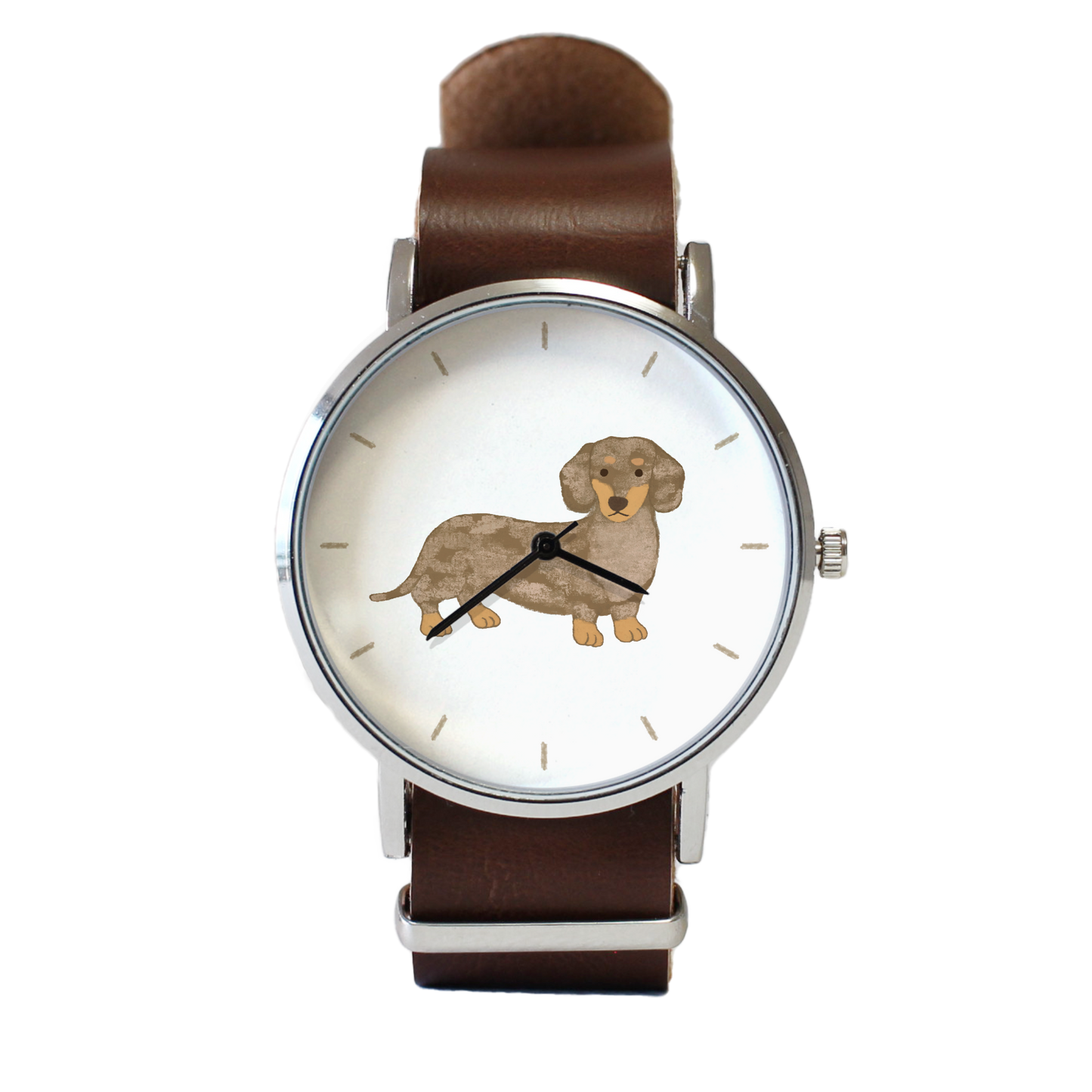 ダックスフンド（チョコダップル）