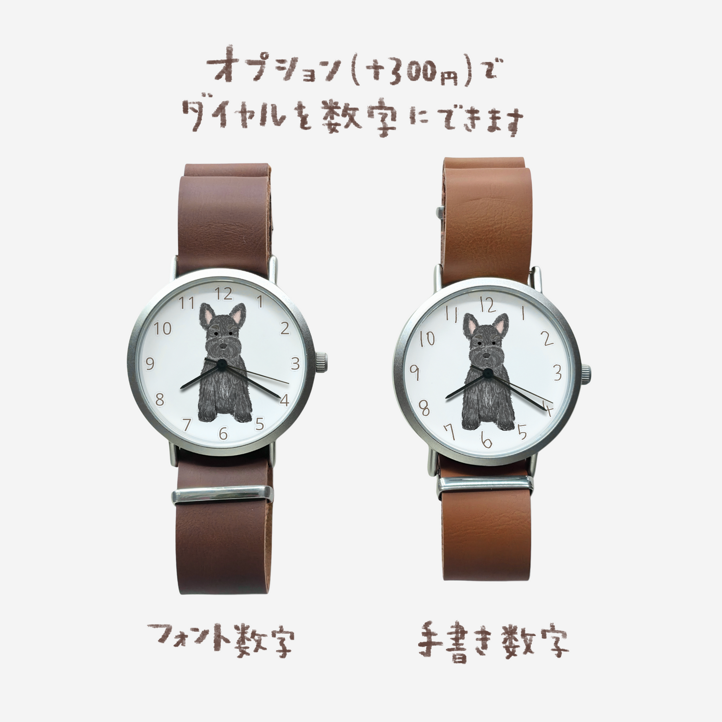 ミニチュアシュナウザー（黒）立ち耳