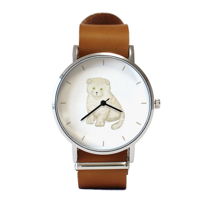 スコティッシュフォールド（クリーム）