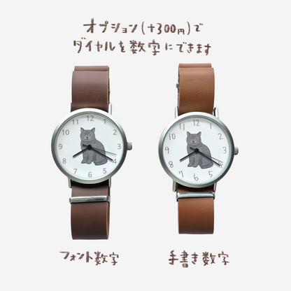 ブリティッシュショートヘア