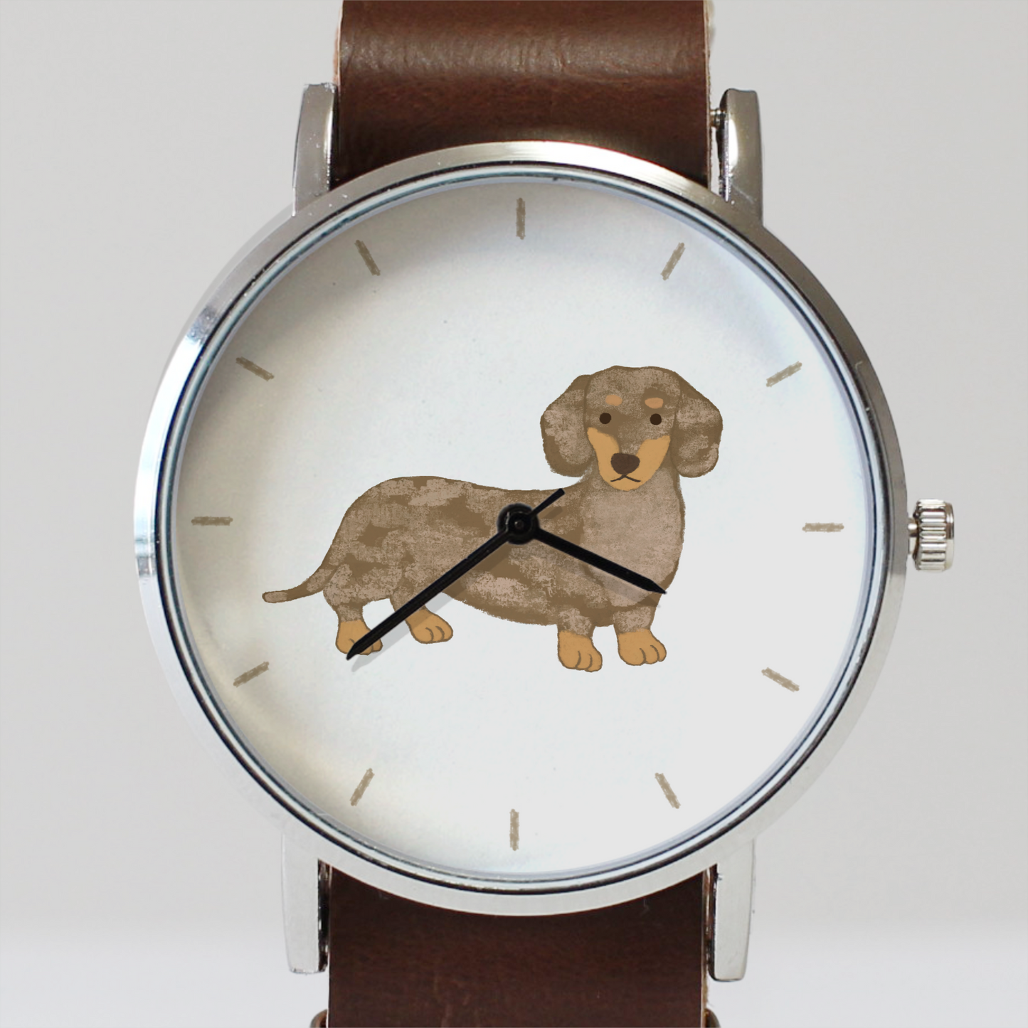 ダックスフンド（チョコダップル）